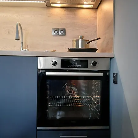 42- Modern Cozy Near Center Apartment *